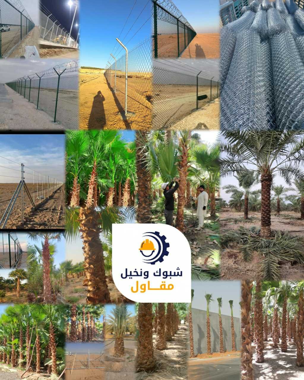 مقاول تركيب شبوك ونخيل 0501102237