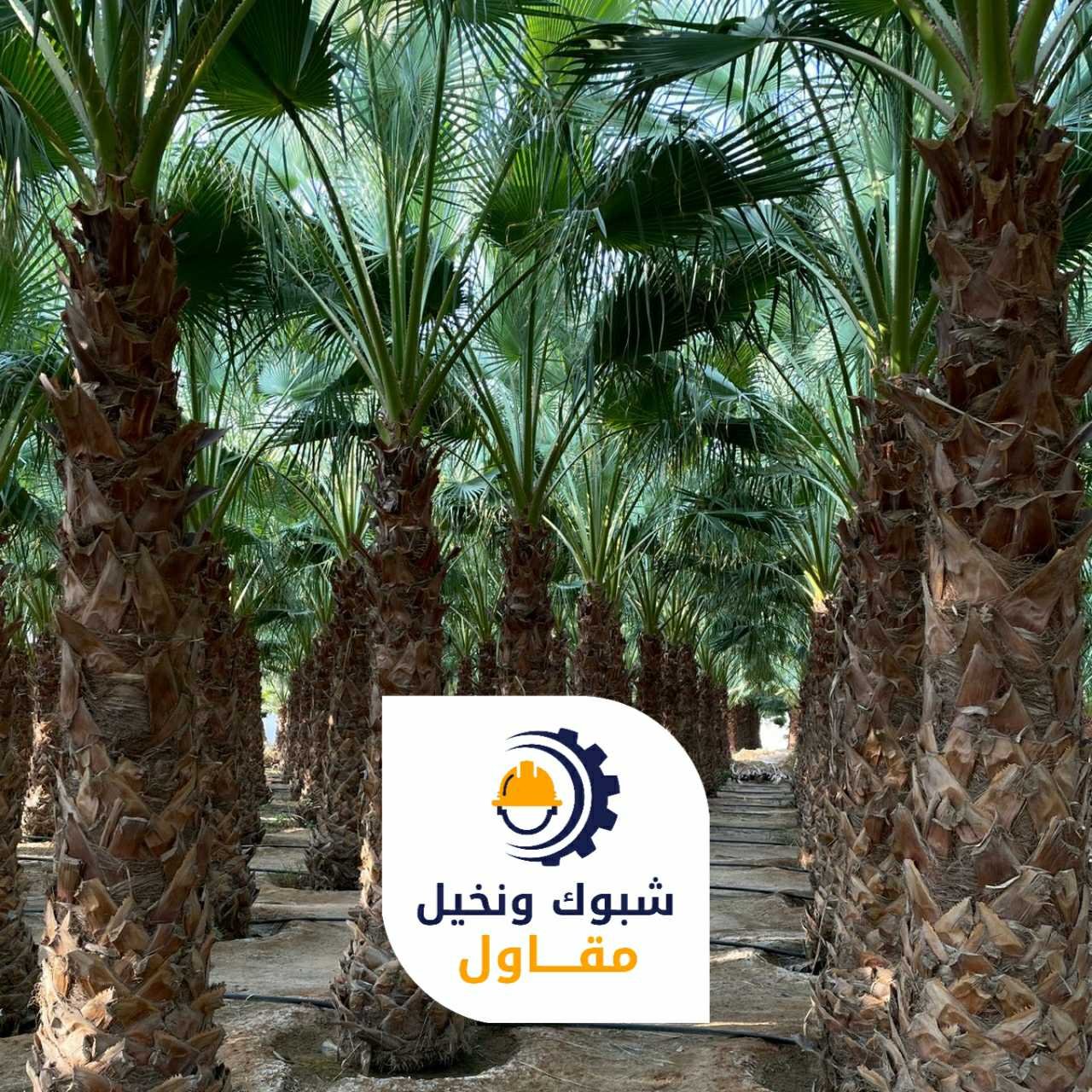 مقاول شبوك ونخيل 050110223701 1