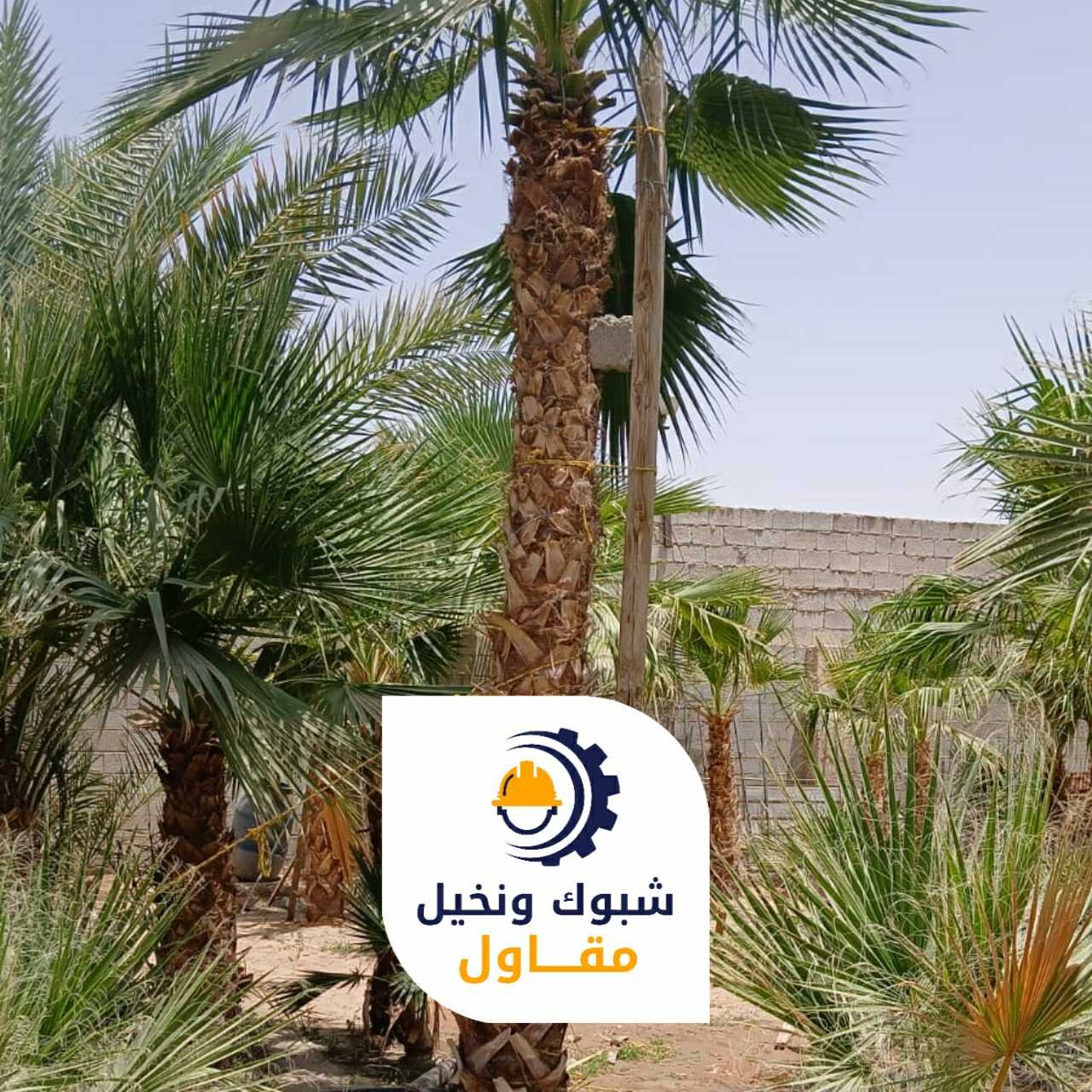 مقاول شبوك ونخيل 050110223706 1