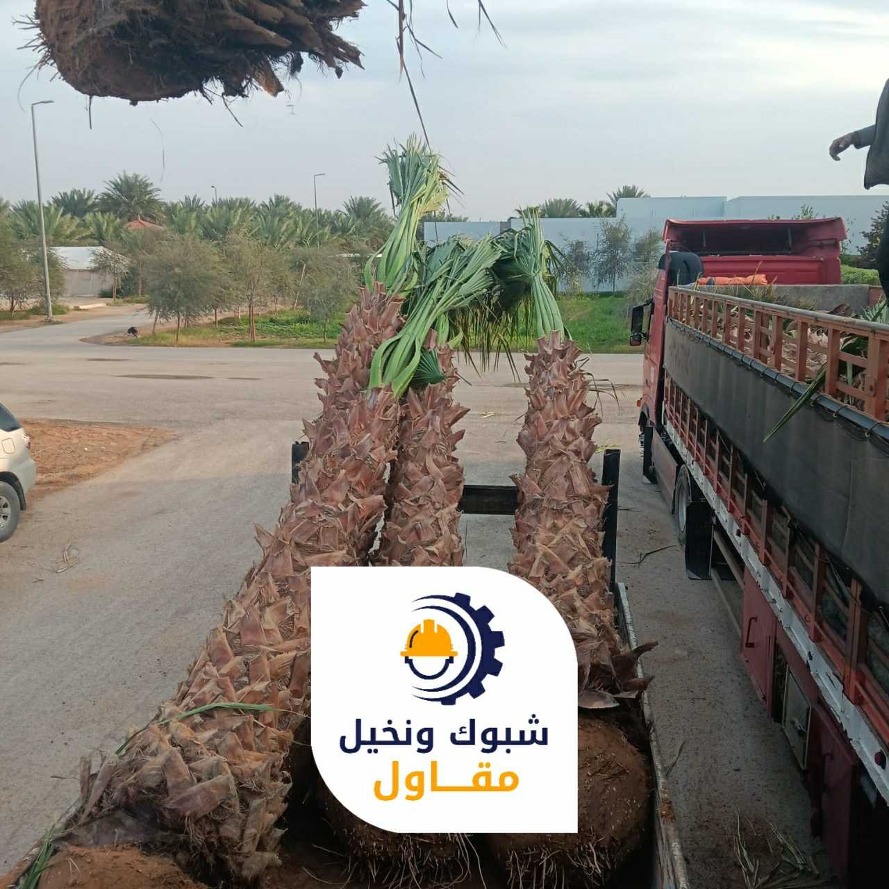 مقاول شبوك ونخيل 050110223707 1
