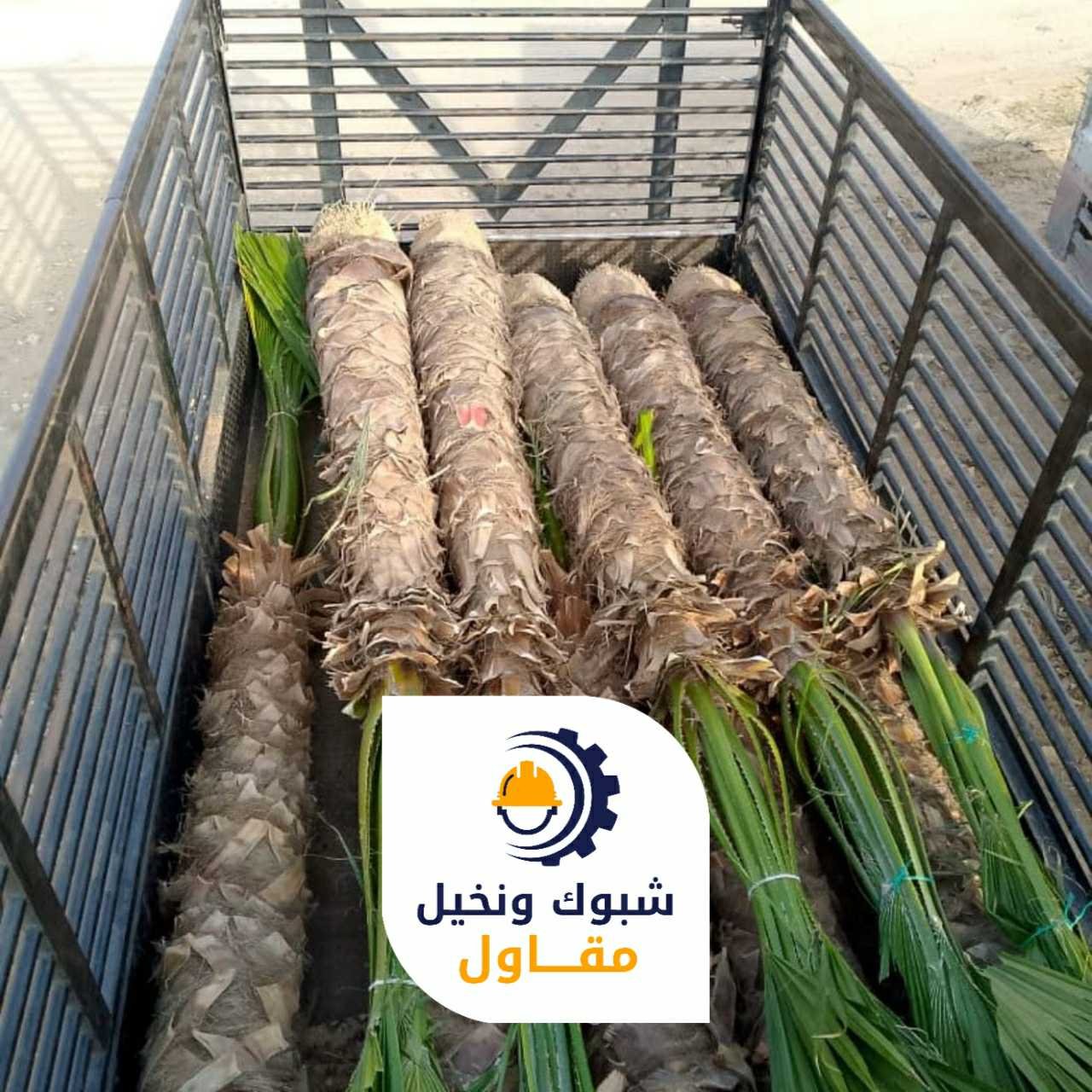 مقاول شبوك ونخيل 050110223708 1