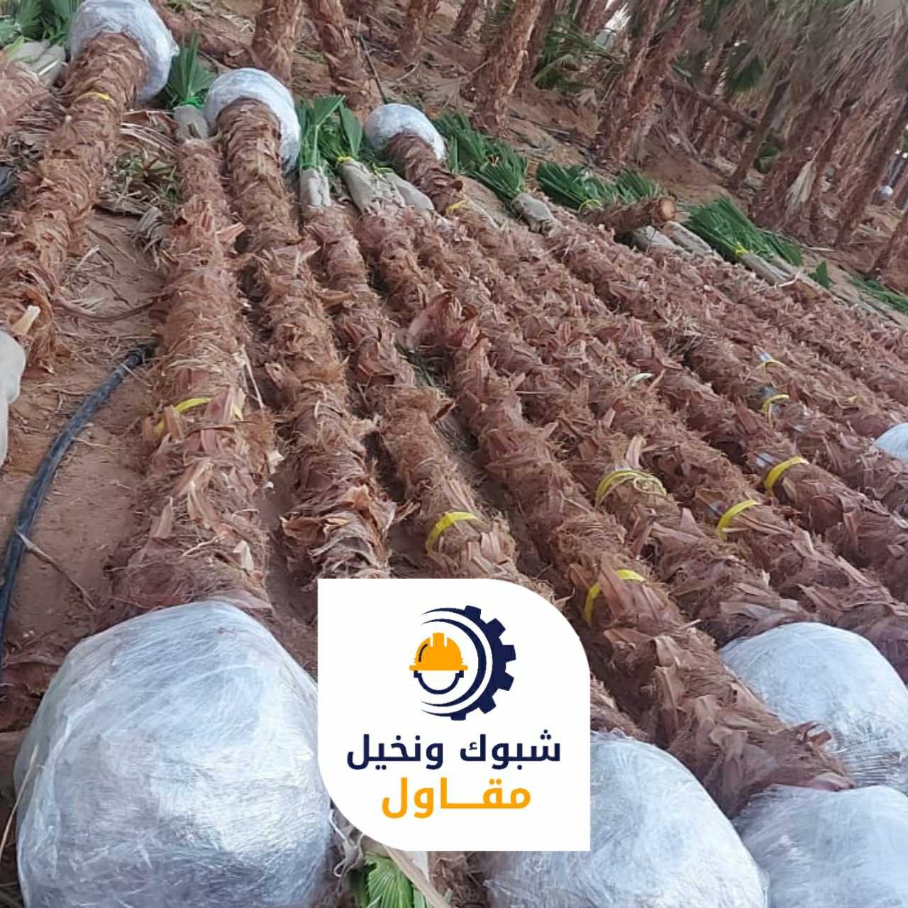مقاول شبوك ونخيل 050110223709 1