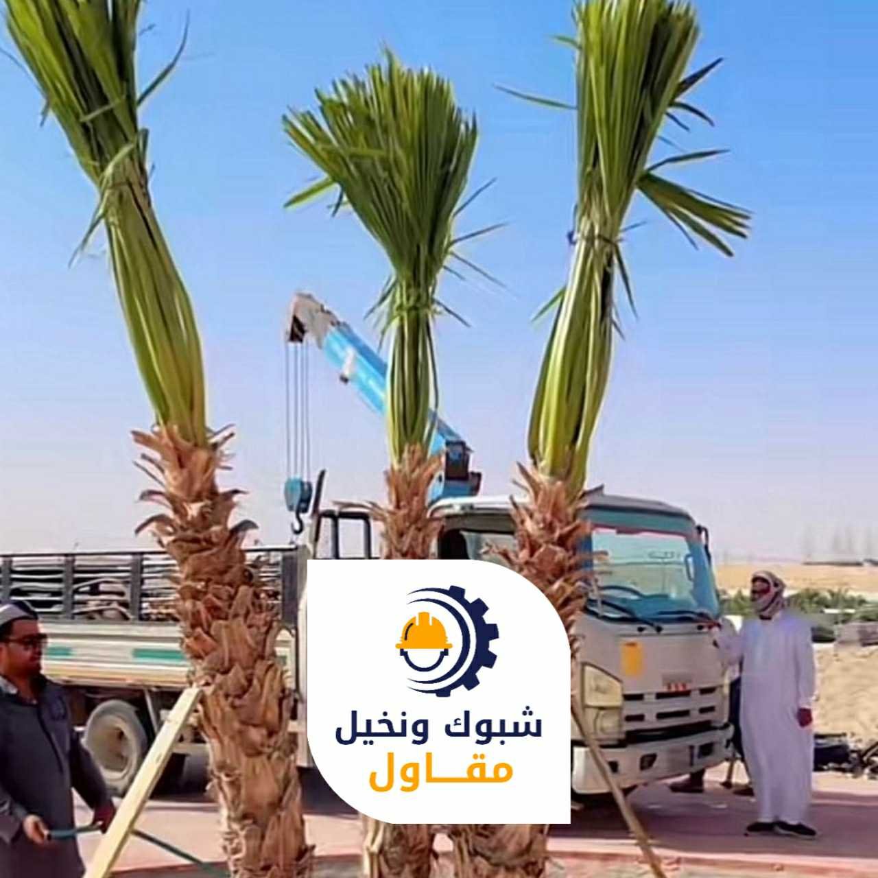 مقاول شبوك ونخيل 050110223714 1