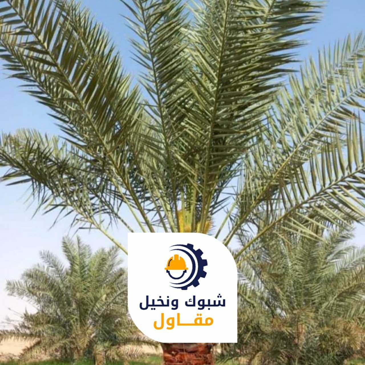مقاول شبوك ونخيل 050110223716 1