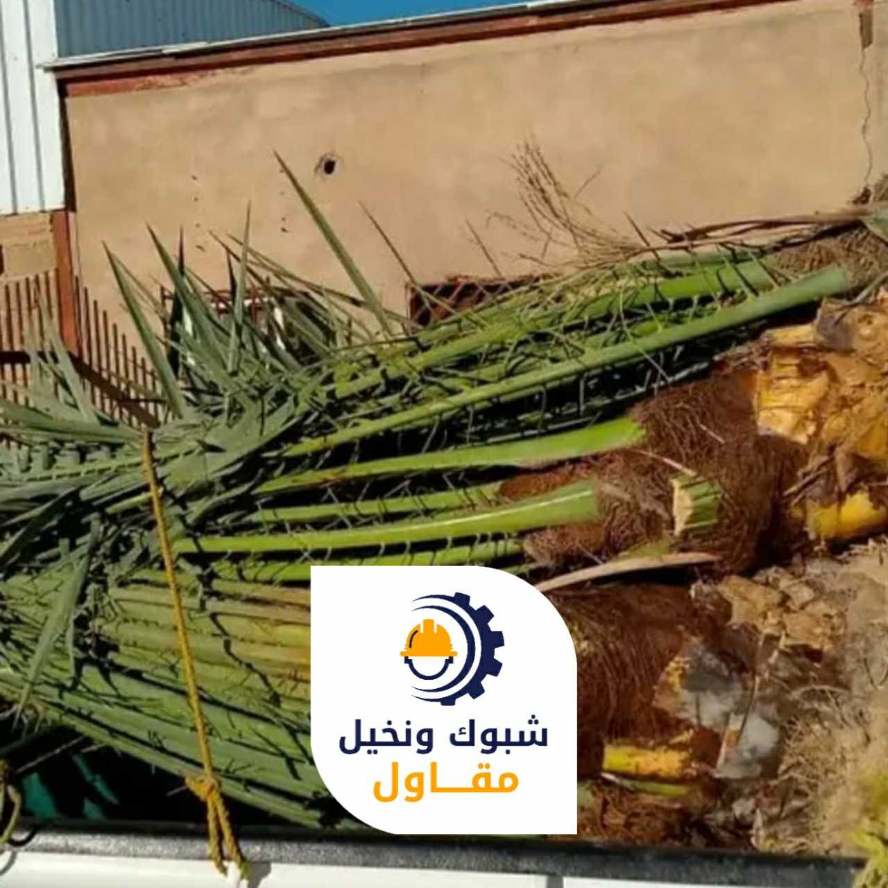 مقاول شبوك ونخيل 050110223719 1