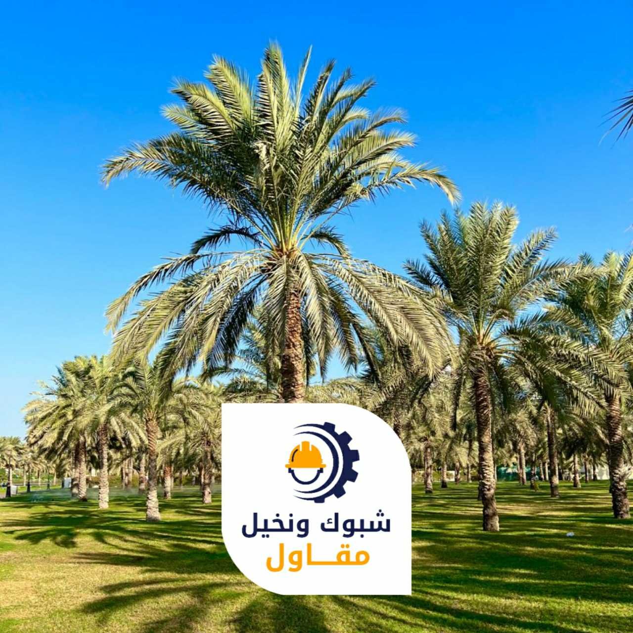 مقاول شبوك ونخيل 050110223721 1