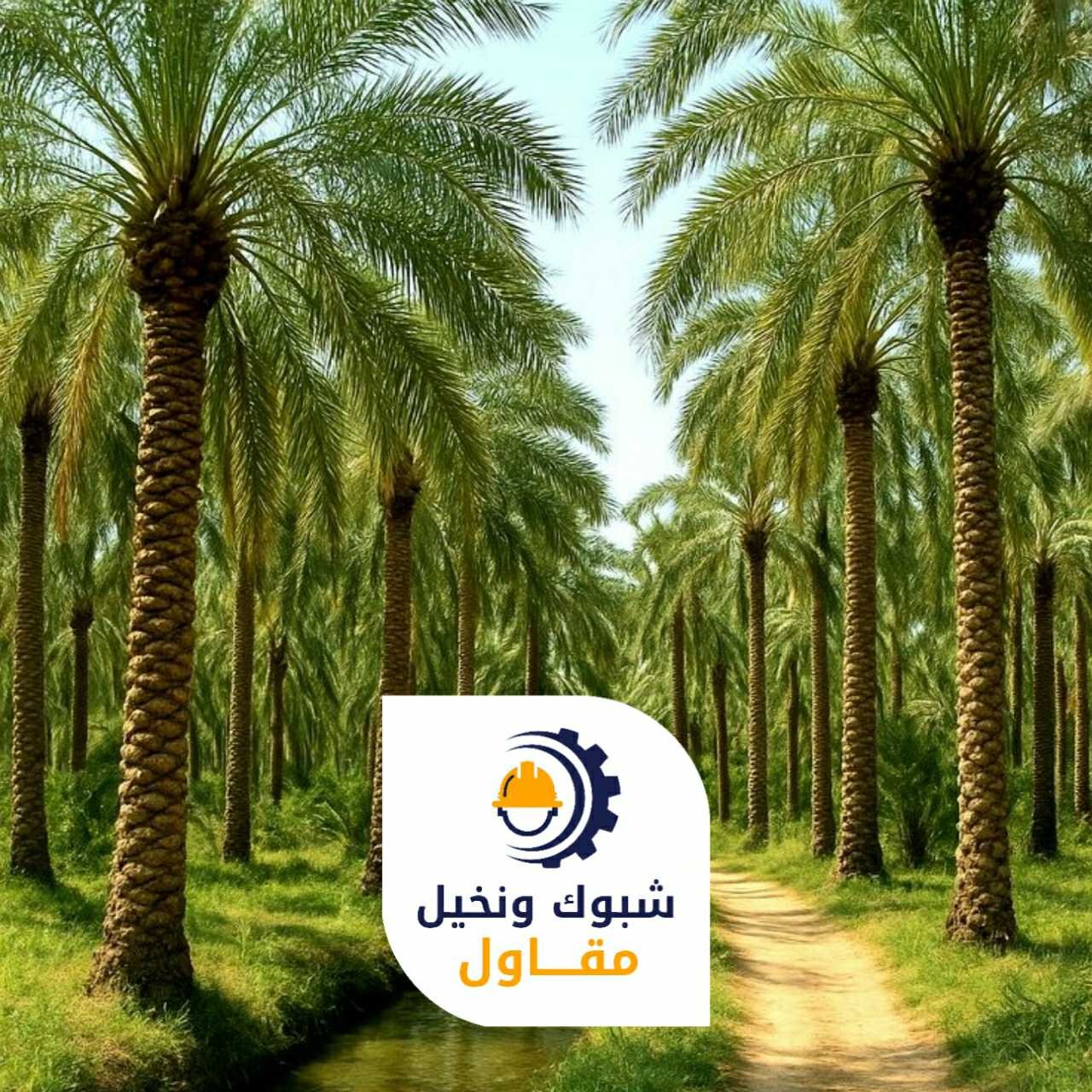 مقاول شبوك ونخيل 050110223722 1