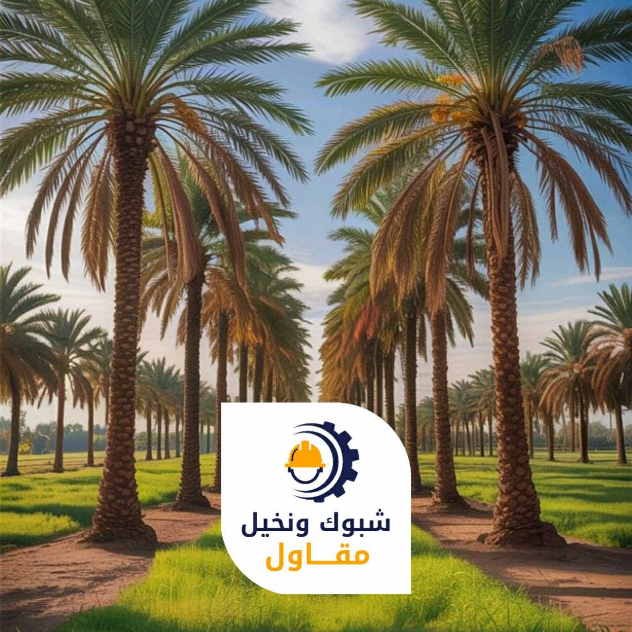 مقاول شبوك ونخيل 050110223724 1