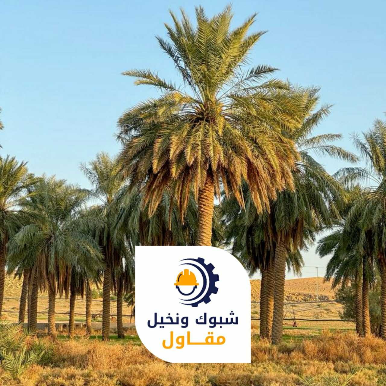 مقاول شبوك ونخيل 050110223725 1