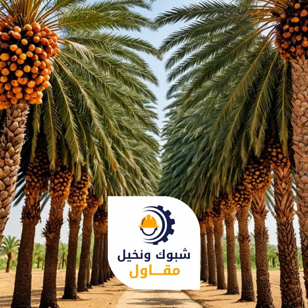 مقاول شبوك ونخيل 050110223726 1