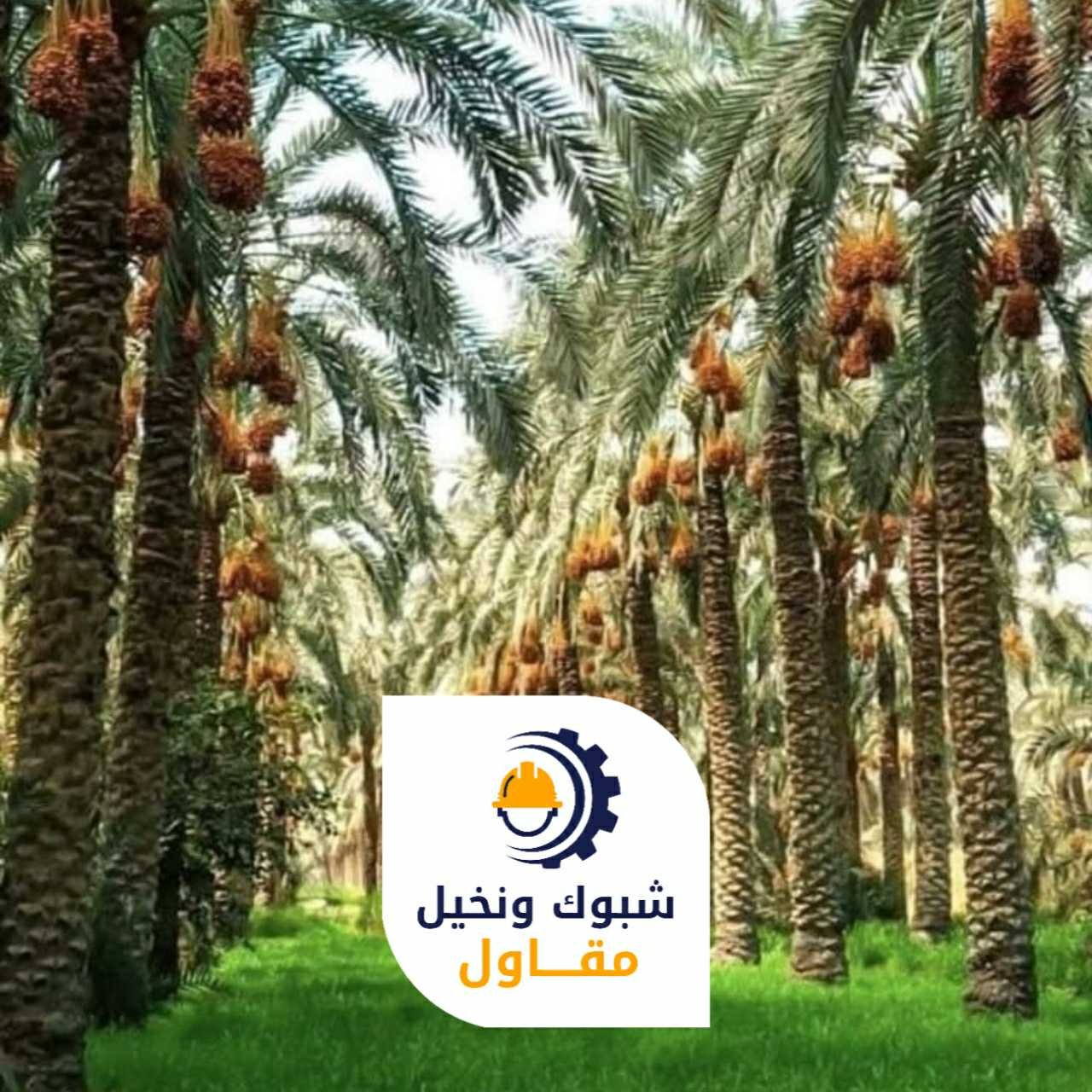 مقاول شبوك ونخيل 050110223729 1