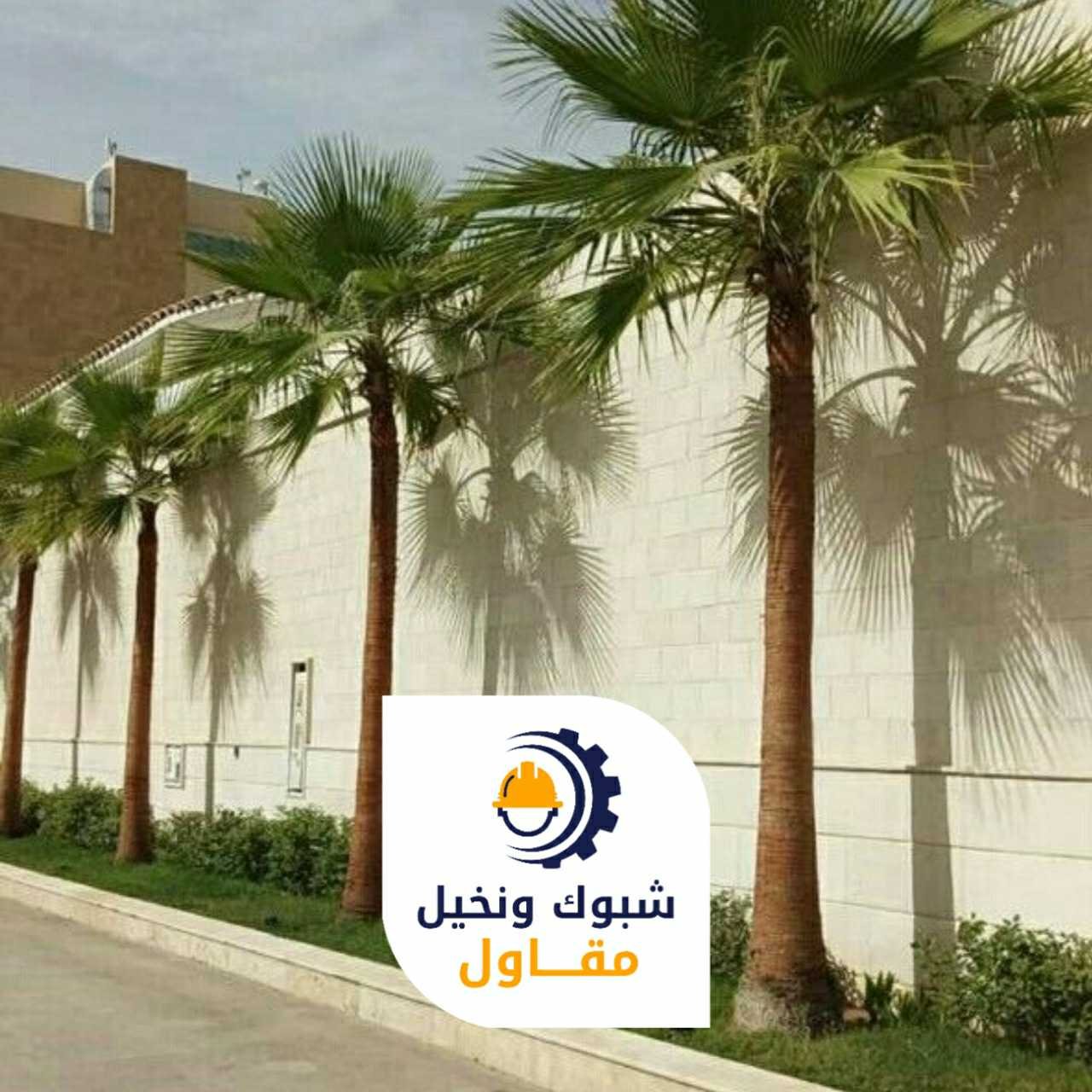 مقاول شبوك ونخيل 050110223730 1