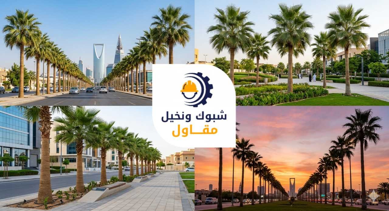 نخيل زينة